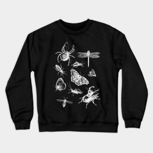 Dramabite Vintage retro scientific bugs insect collection entomologist Crewneck Sweatshirt